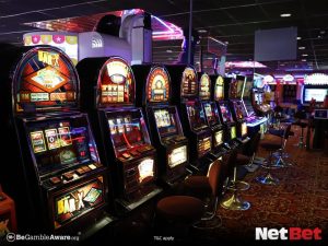 fun999|Bingo Online – Descubra Agora no Cassino Brasileiro